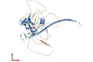 Protein Structure (PS) image for Cell Cycle and Apoptosis Regulator 2 (CCAR2) (AA 1-922) protein (His tag) (ABIN7564749)