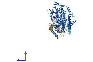 AlphaFold protein structure predicition of Mouse Recombinant Lmf2 Protein, UniprotID Q8C3X8