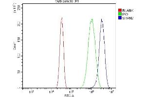 Flow Cytometry analysis of U20S cells using anti-SCG10/STMN2 antibody (ABIN7600734).