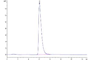 Size-exclusion chromatography-High Pressure Liquid Chromatography (SEC-HPLC) image for Glypican 3 (GPC3) (AA 25-559) protein (His tag) (ABIN7274772)