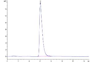 The purity of Cynomolgus GPC3 is greater than 95 % as determined by SEC-HPLC. (Glypican 3 Protein (GPC3) (AA 25-559) (His tag))