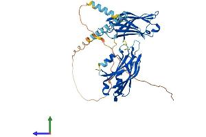 Protein Structure (PS) image for Synaptotagmin II (SYT2) (AA 1-422) protein (His tag) (ABIN7563272)