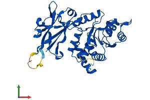 Protein Structure (PS) image for Epilepsy, Progressive Myoclonus Type 2A, Lafora Disease (Laforin) (EPM2A) (AA 1-331) protein (His tag) (ABIN7553804)