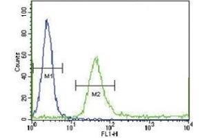 IGFBP4 antibody flow cytometric analysis of WiDr cells (green) compared to a negative control (blue). (IGFBP4 抗体  (AA 66-92))