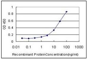ELISA image for anti-Nuclear Receptor Subfamily 1, Group D, Member 1 (NR1D1) (AA 1-615) antibody (ABIN614695) (NR1D1 抗体  (AA 1-615))