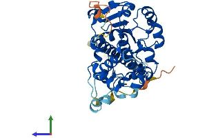 Protein Structure (PS) image for Chromosome 14 Open Reading Frame 148 (C14orf148) (AA 1-366) protein (His tag) (ABIN7560958)