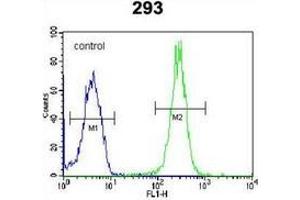 Flow cytometric analysis of 293 cells using LRRC57 Antibody (C-term) Cat. (LRRC57 抗体  (C-Term))
