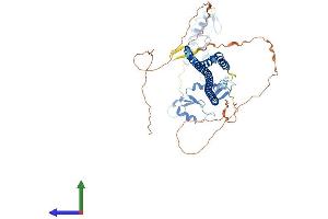 Protein Structure (PS) image for Tripartite Motif Containing 8 (TRIM8) (AA 1-551) protein (His tag) (ABIN7560461)