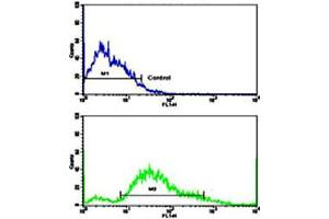 Flow cytometric analysis of SK-BR-3 cells using PDGFRB polyclonal antibody (bottom histogram) compared to a negative control cell (top histogram). (PDGFRB 抗体  (N-Term))