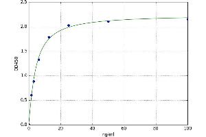 A typical standard curve (DAO ELISA 试剂盒)