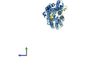 Protein Structure (PS) image for Solute Carrier Family 17 (Acidic Sugar Transporter), Member 5 (SLC17A5) (AA 1-495) protein (His tag) (ABIN7564405)