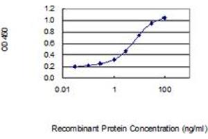 Detection limit for recombinant GST tagged CCDC69 is 0. (CCDC69 抗体  (AA 1-296))
