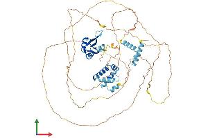 Protein Structure (PS) image for Cleavage Stimulation Factor, 3' Pre-RNA, Subunit 2, 64kDa, tau Variant (CSTF2T) (AA 1-632) protein (His tag) (ABIN7559186)