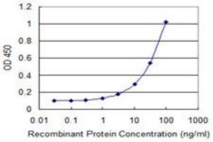 Detection limit for recombinant GST tagged LONRF1 is 1 ng/ml as a capture antibody. (LONRF1 抗体  (AA 1-110))