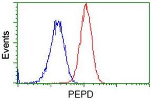 Flow cytometric Analysis of Hela cells, using anti-PEPD antibody (ABIN2453446), (Red), compared to a nonspecific negative control antibody (TA50011), (Blue). (PEPD 抗体)