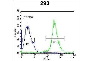 Rat MKP3 Antibody (ABIN1882185 and ABIN2842276) flow cytometric analysis of 293 cells (right histogram) compared to a negative control cell (left histogram). (DUSP6 抗体)