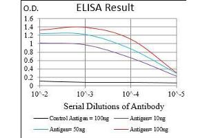 Black line: Control Antigen (100 ng), Purple line: Antigen(10 ng), Blue line: Antigen (50 ng), Red line: Antigen (100 ng), (PON1 抗体  (AA 20-155))