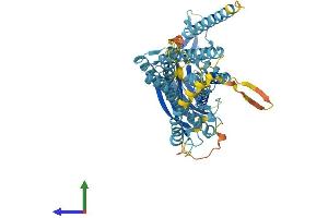Protein Structure (PS) image for CLPTM1-Like (CLPTM1L) (AA 1-538) protein (His tag) (ABIN7546615)