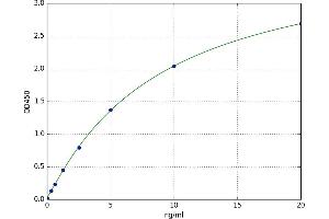 A typical standard curve (JNK ELISA 试剂盒)