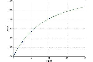 Mitogen-Activated Protein Kinase 8 (MAPK8) ELISA Kit