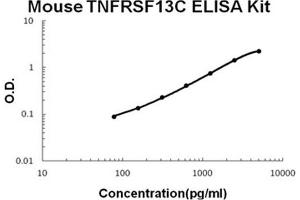 Mouse TNFRSF13C/BAFFR PicoKine ELISA Kit standard curve (TNFRSF13C ELISA 试剂盒)