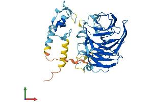AlphaFold protein structure predicition of Human Recombinant NHLRC1 Protein, UniprotID Q6VVB1