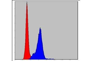 Flow cytometric analysis of Hela cells using CRK mouse mAb (blue) and negative control (red). (Crk 抗体)