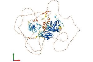 Protein Structure (PS) image for Lipin 3 (LPIN3) (AA 1-851) protein (His tag) (ABIN7554432)