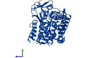 AlphaFold protein structure predicition of Mouse Recombinant Smyd2 Protein, UniprotID Q8R5A0