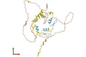 Protein Structure (PS) image for Scratch Homolog 1, Zinc Finger Protein (SCRT1) (AA 1-348) protein (His tag) (ABIN7545863)