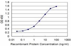Detection limit for recombinant GST tagged GSC is approximately 0. (GSC 抗体  (AA 151-257))