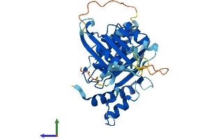 AlphaFold protein structure predicition of Mouse Recombinant Rwdd2a Protein, UniprotID Q9D9S3