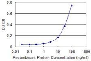 Detection limit for recombinant GST tagged AK1 is approximately 10ng/ml as a capture antibody. (Adenylate Kinase 1 抗体  (AA 1-194))