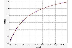 Typical standard curve (Topoisomerase II alpha ELISA 试剂盒)