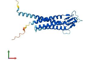 AlphaFold protein structure predicition of Human Recombinant LHFPL5 Protein, UniprotID Q8TAF8
