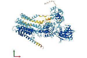 Protein Structure (PS) image for ATPase, Ca++ Transporting, Type 2C, Member 1 (ATP2C1) (AA 1-919) protein (His tag) (ABIN7552374)