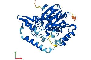 AlphaFold protein structure predicition of Human Recombinant SERHL2 Protein, UniprotID Q9H4I8