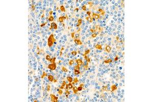 Immunohistochemistry of paraffin embedded human lymph node using CD30 (ABIN7076073) at dilution of 1:600 (400x lens) (TNFRSF8 抗体)