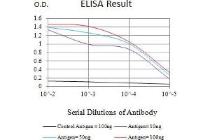 Black line: Control Antigen (100 ng),Purple line: Antigen (10 ng), Blue line: Antigen (50 ng), Red line:Antigen (100 ng) (MDM2 抗体  (AA 26-169))
