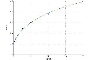ATPase, Ca++ Transporting, Ubiquitous (ATP2A3) ELISA Kit