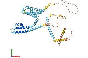 Protein Structure (PS) image for Cation Channel, Sperm Associated 4 (CATSPER4) (AA 1-442) protein (His tag) (ABIN7558936)