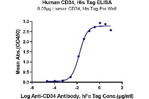 Immobilized Human CD34, His Tag at 0.
