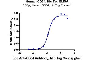 Immobilized Human CD34, His Tag at 0. (CD34 Protein (CD34) (AA 32-290) (His tag))