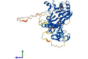Protein Structure (PS) image for Protein Phosphatase 1J (PPM1J) (AA 1-507) protein (His tag) (ABIN7556974)