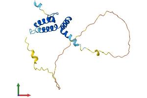 AlphaFold protein structure predicition of Mouse Recombinant Dnajc12 Protein, UniprotID Q9R022