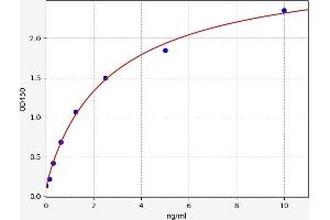 PRM1 ELISA 试剂盒