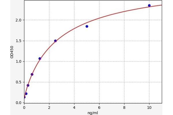 PRM1 ELISA 试剂盒