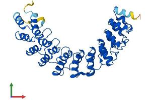 AlphaFold protein structure predicition of Mouse Recombinant Ankrd16 Protein, UniprotID A2AS55