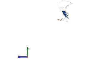 Protein Structure (PS) image for IQ Motif Containing G (IQCG) (AA 1-419) protein (His tag) (ABIN7558379)