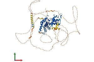 Protein Structure (PS) image for Cyclin T2 (CCNT2) (AA 1-723) protein (His tag) (ABIN7564208)